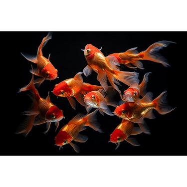 Goldfish Painting Canvas